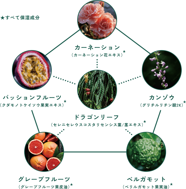 成分イメージ